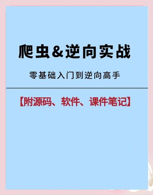 如何掌握Python逆向工程与安全测试方法？