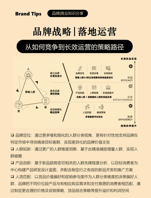 如何通过创新品牌策略，精准触达目标群体，实现心智占领？