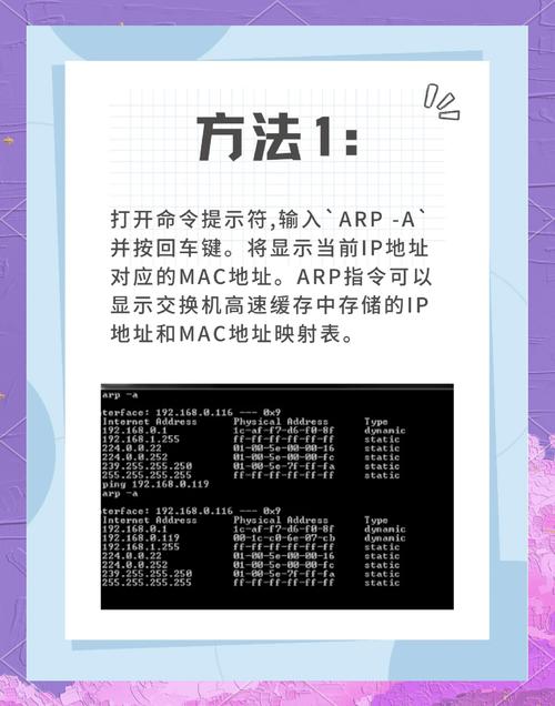 如何轻松掌握IP地址编写格式，有效解决网络问题？