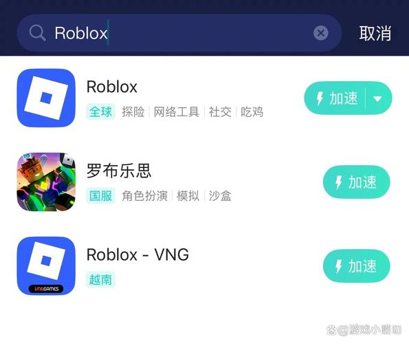 Roblox游戏无法运行时，有哪些具体方法可以彻底修复？