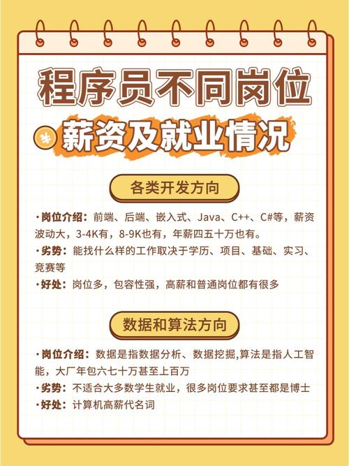 学会编程，难道不能让我拿高薪吗？