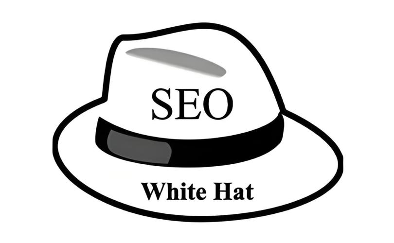 SEO优化中，如何区分黑帽与白帽技巧？