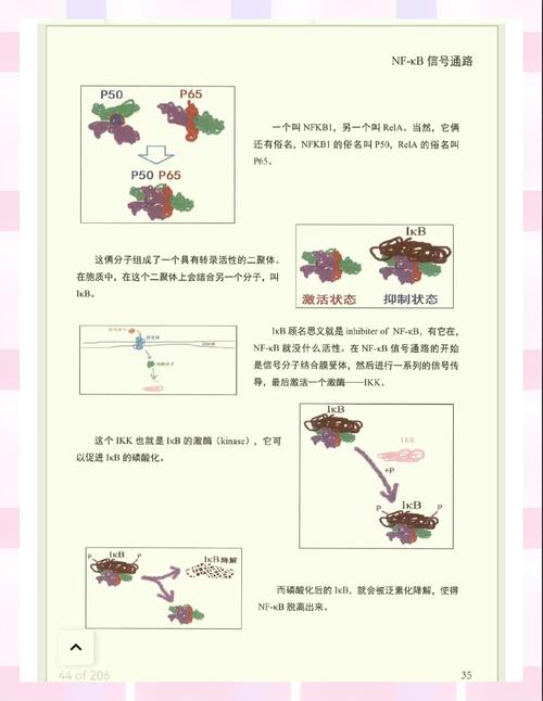 Lua的lua_resume和lua_yield参数的目的是什么？