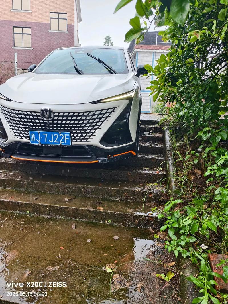 如何在Vue项目中集成高德地图并实现轨迹绘制功能？