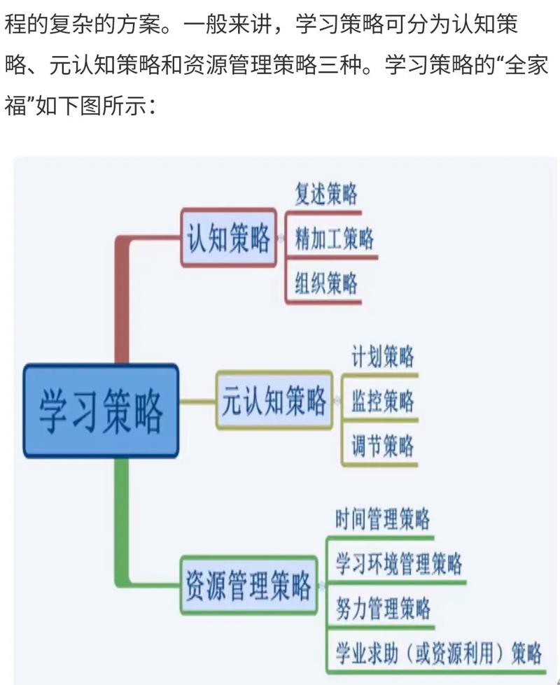 如何制定有效的网页设计考试策略和内容学习指南？