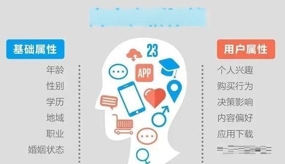 如何利用学习分析工具精准提升网站流量和转化率？