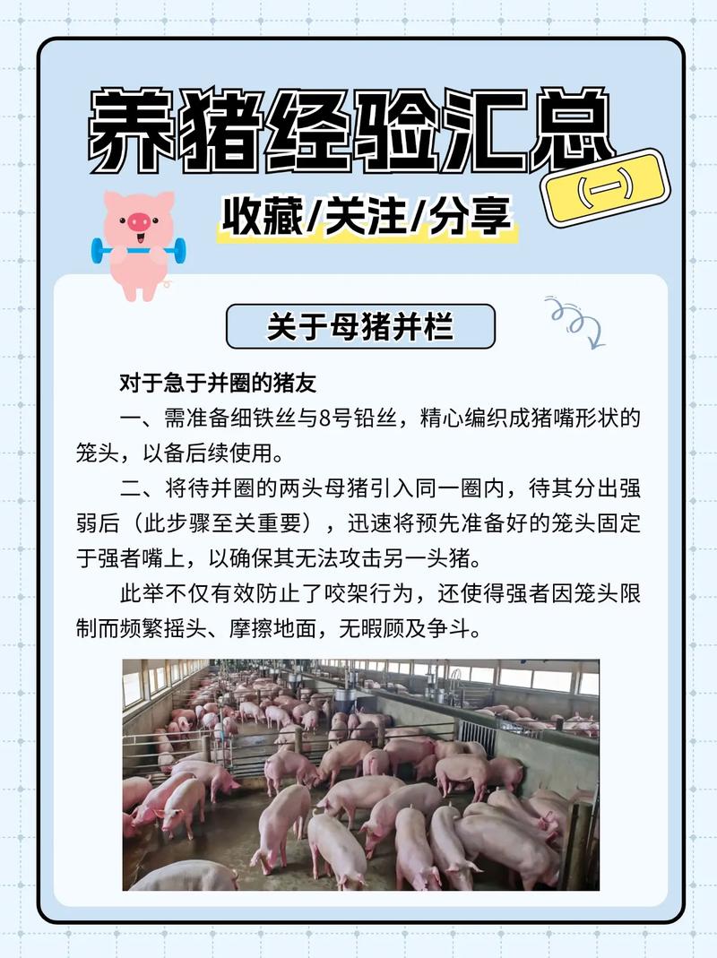 养猪场经营困难，转型改养禽类养殖行得通吗？