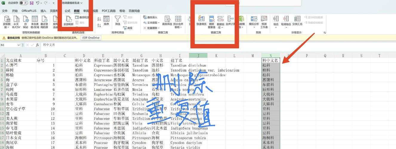 如何用PHP编写高效的数据去重和重复项处理长尾词算法？