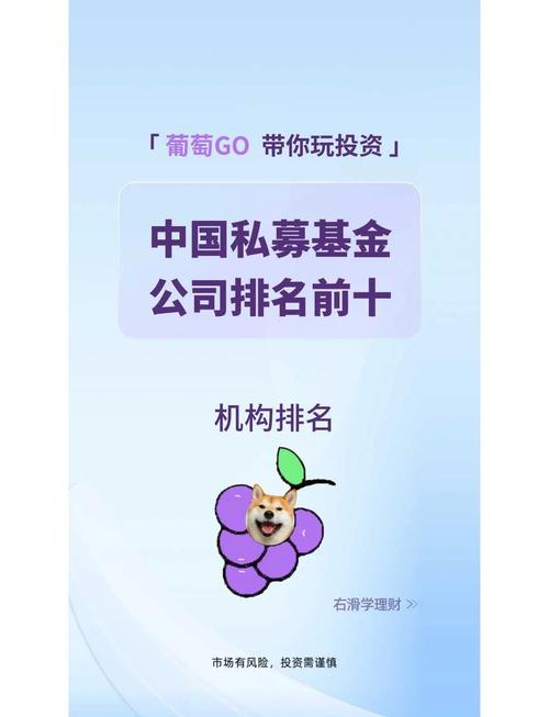 .fund域名代表哪个行业？是投资理财领域的专业域名吗？