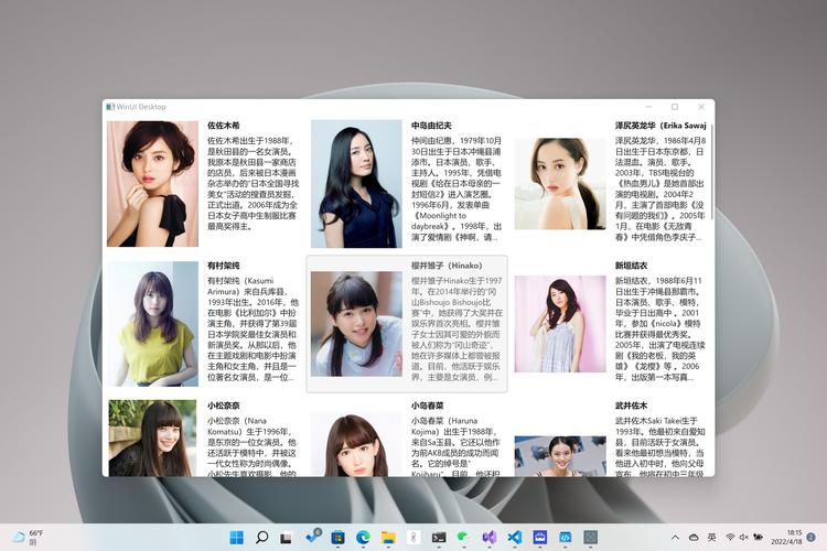 WinUI（WindowsAppSDK）结合LiteDB，如何制作女演员图鉴应用？
