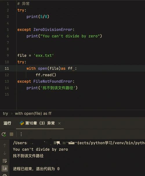 Python文件操作中如何处理异常情况？