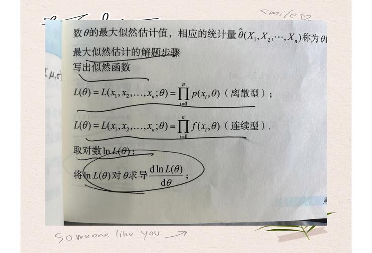 如何用Python简易实现最大似然估计方法？