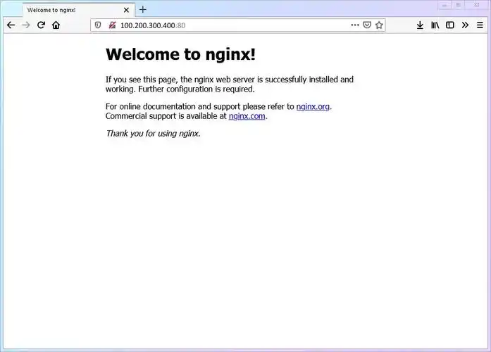 Java环境下，Nginx配置默认执行default，这个设置会自动触发吗？