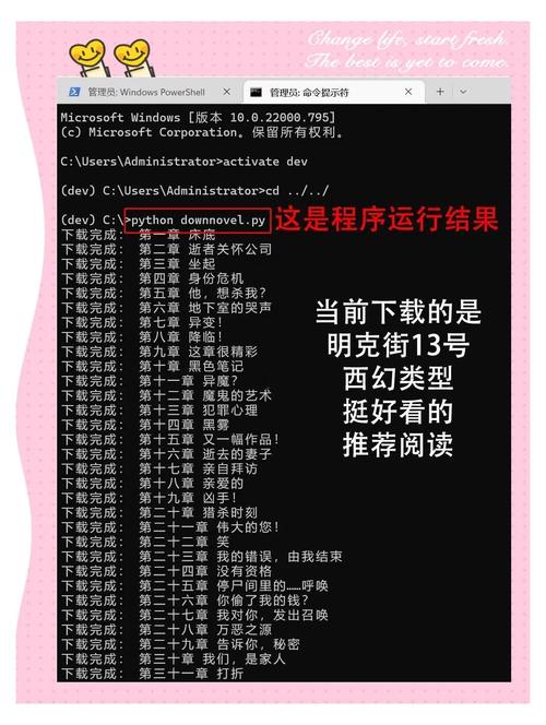 如何用Python编写示例代码来爬取并下载网络小说？