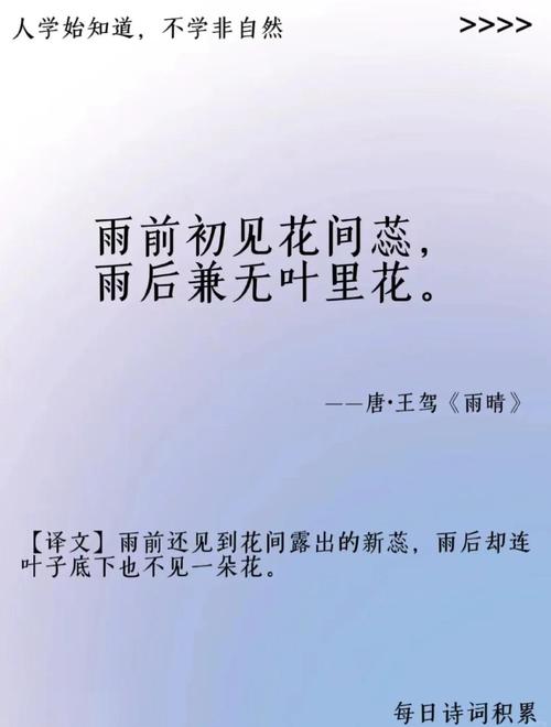 元宋褧改写《明照坊对雨》为，会是怎样的长尾词呢？