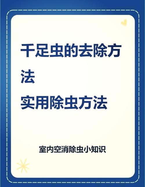 数据库如何有效应对千年虫问题可能引发的长期挑战？