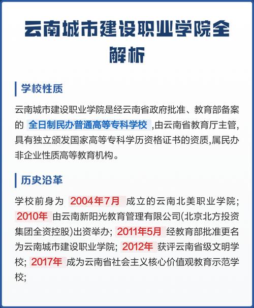 南坪专业网站建设口碑如何？与职业学院相比深度解析有哪些优势？