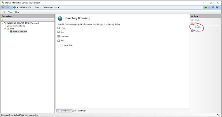 如何在IIS 10上配置并承载ASP.NET Web API 2项目以实现高效运行？