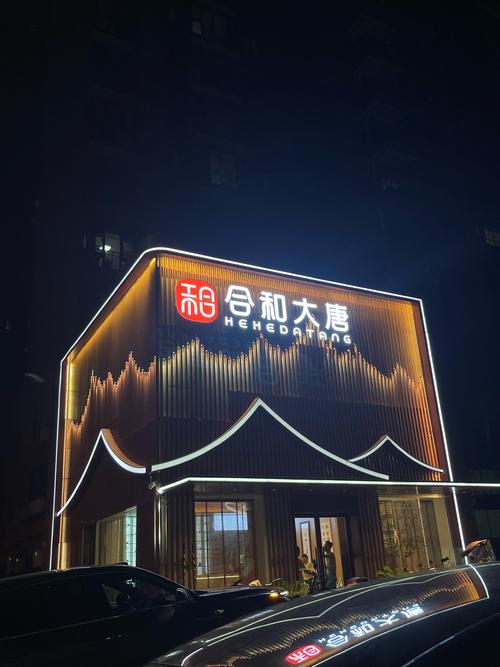 合和大唐项目与哪些项目在具体区别上有所不同？