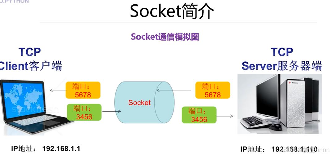 Python如何实现Socket套接字编程？