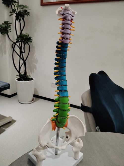 南平SEO专家，你们有专业团队吗？是首选团队吗？