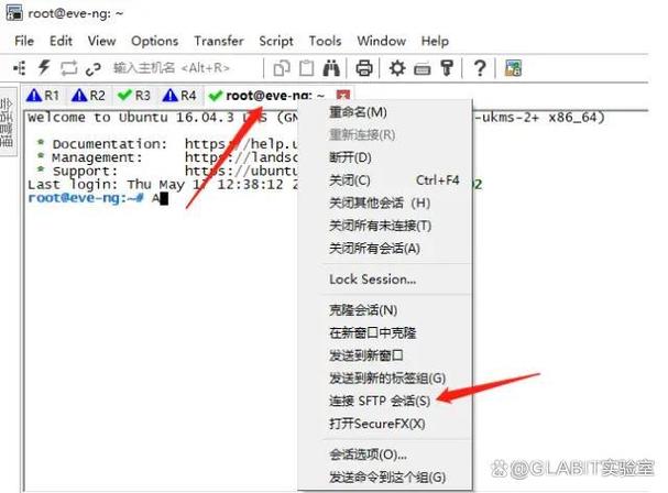 如何通过优化SecureCRT连接Ubuntu协议来显著提升远程操作效率？