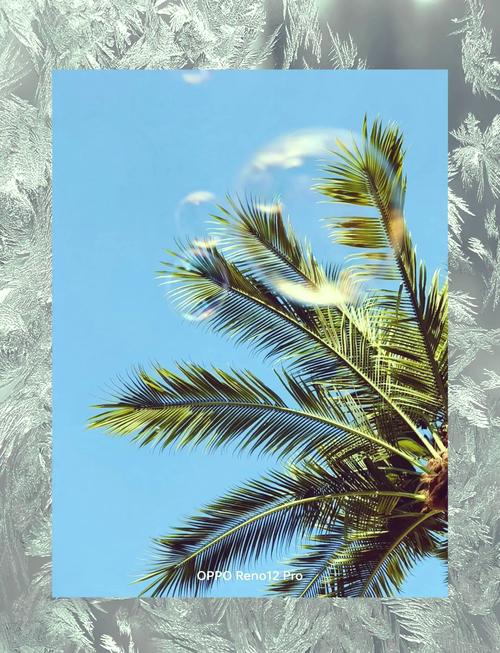 如何用JavaScript实现摄像头拍照并实时预览功能？