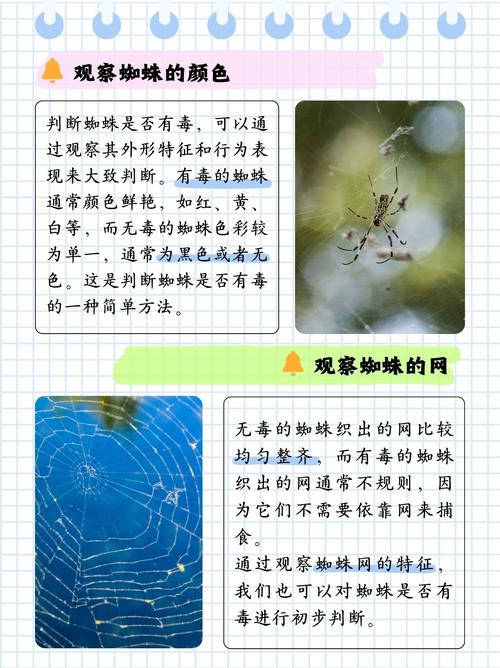 搜索引擎蜘蛛如何识别并避开SEO防范措施？