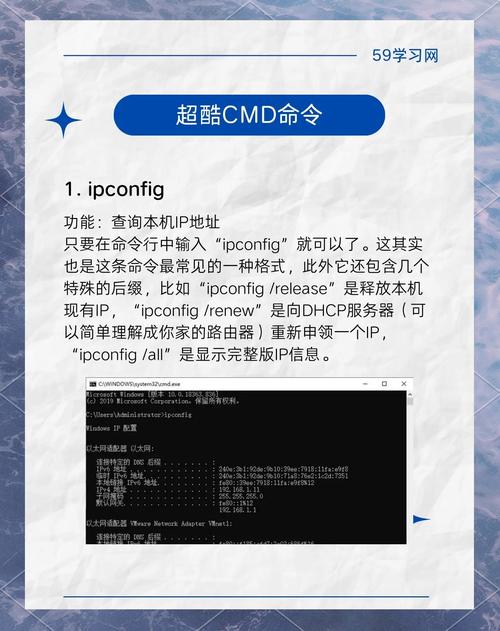 如何用JavaScript编写鼠标悬停切换卡片显示隐藏内容的代码？