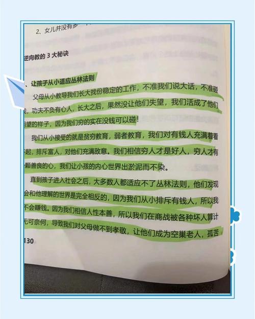 这个高权重解析的全细节，你能给我来个深度揭秘吗？