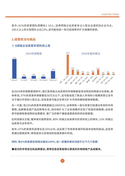 如何深度解析独立站年度营业额并实现其可持续增长，把握未来趋势？