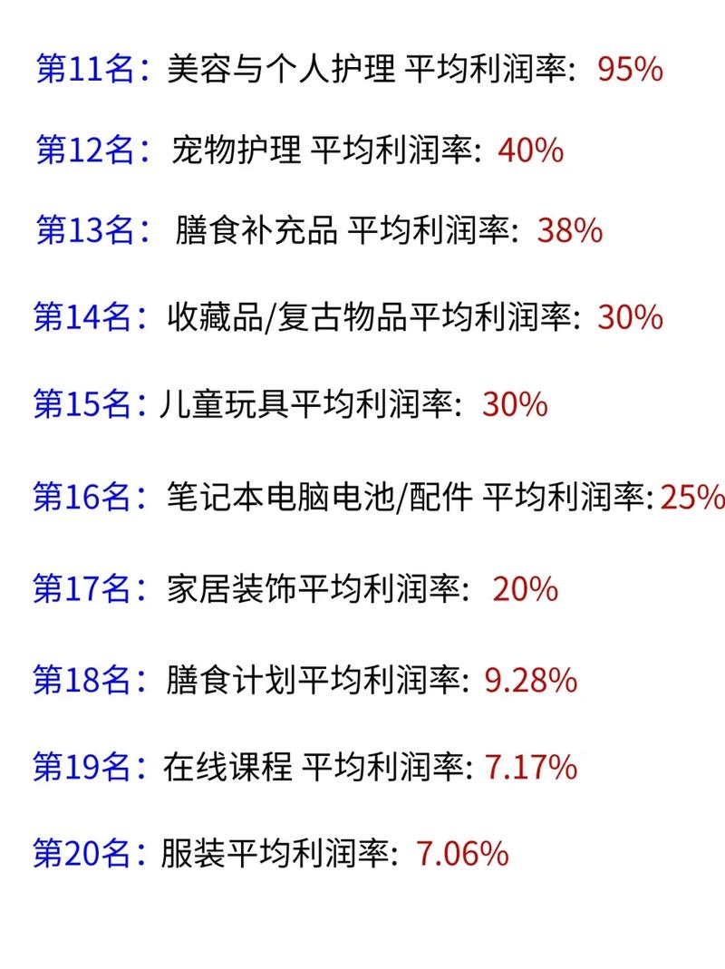 独立站定制产品，哪些品类投入能实现高利润转化？