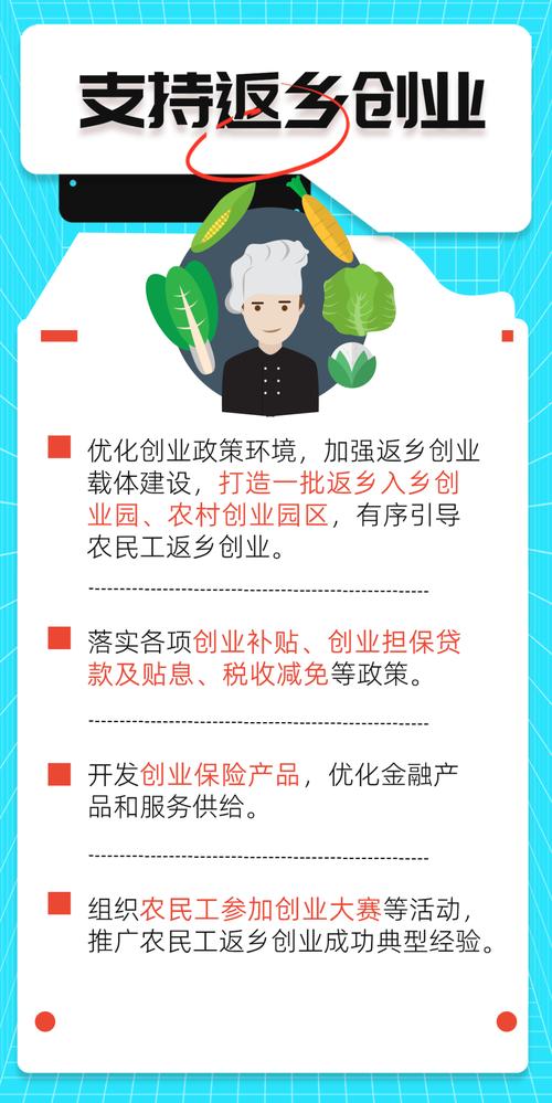基层就业项目有哪些具体差异和特点？