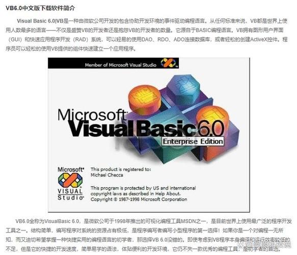 VB6有哪些高级功能应用？