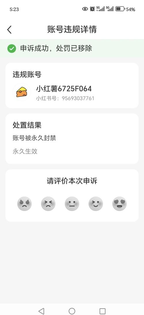 网站被降权后申诉成功恢复排名的机会大不大？