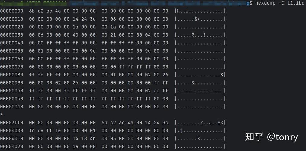 一个字节在计算机中究竟包含多少个二进制位，这个问题你了解吗？