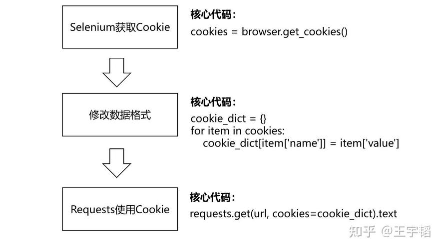 如何用Python编写代码模拟登录并提取网站Cookie？