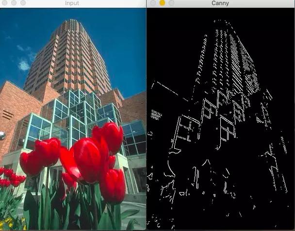 OpenCV的边缘检测功能如何实现长尾词效果？