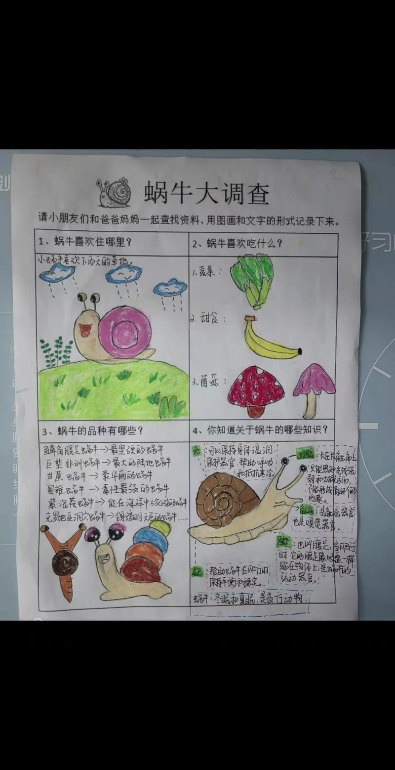 蜗牛Java基础学习到第五部分，有哪些重点和难点需要掌握？