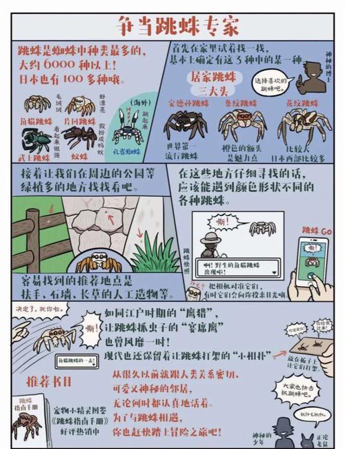 哪些因素会影响蜘蛛抓取的吸引力？