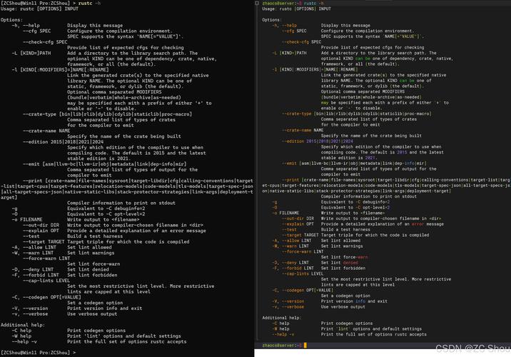 如何通过Debian集成Rust，轻松实现多语言项目协作？