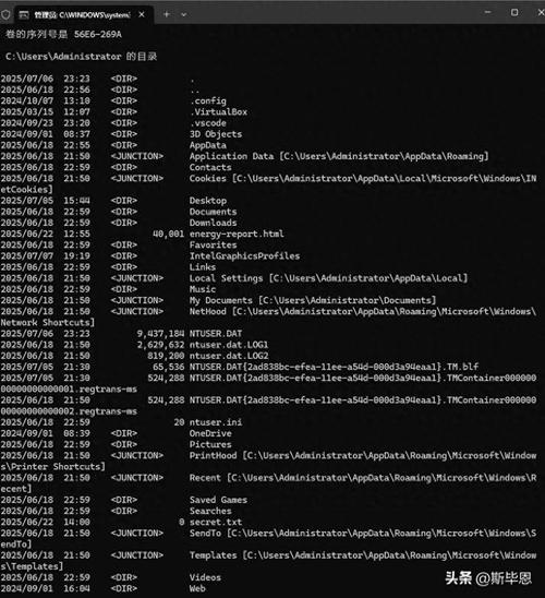 在哪些具体场景下使用 Debian readdir 能高效管理大量文件目录？