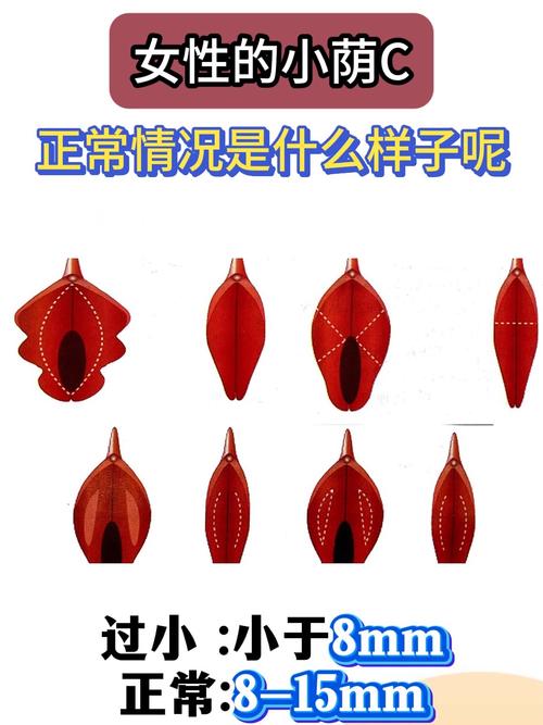 如何准确判断C的正确性？