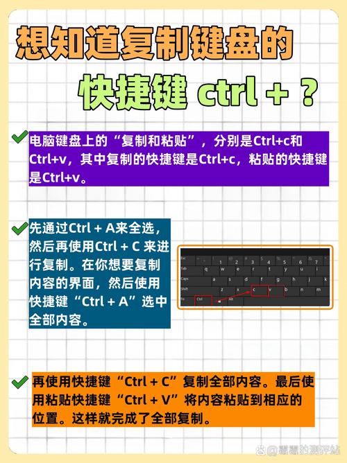 Ctrl键加什么可以实现选择性复制？