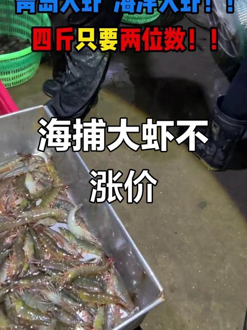 青岛大虾的价格争议，卖虾人的反击，我竟无言以对，难道调侃青岛大虾真的无解吗？
