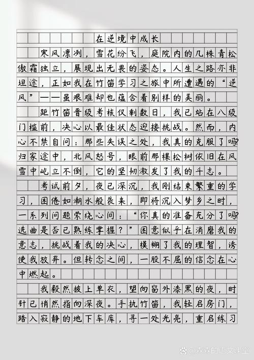 POJ1821栅栏问题的解题报告如何撰写？