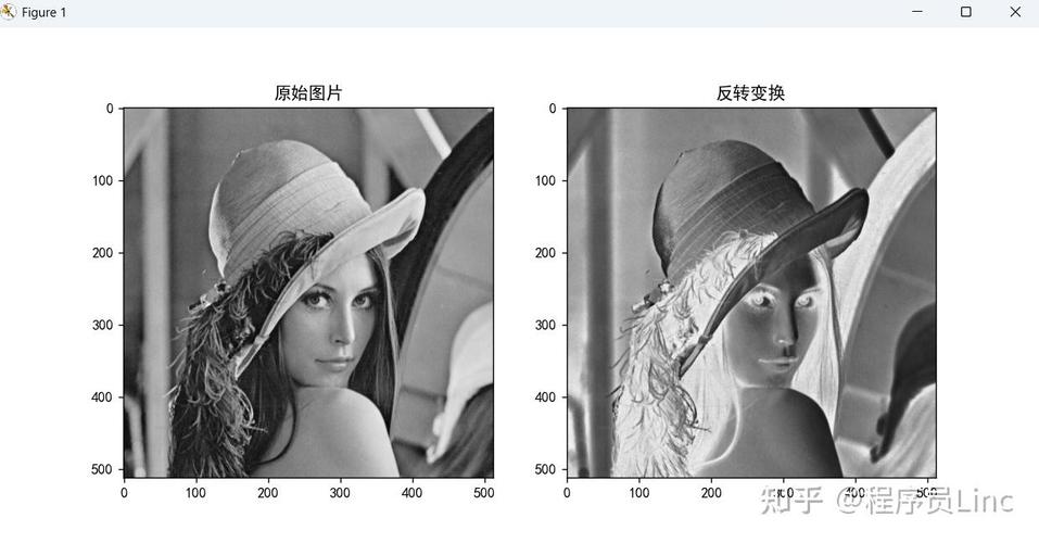 数字图像处理中，有哪些基本灰度变换函数，如反转变换、对数变换等？