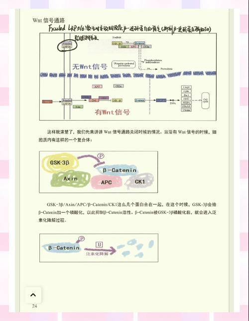 Lua的lua_resume和lua_yield参数的目的是什么？