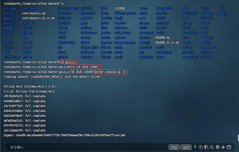 CVE-2020-13945漏洞有哪些已知影响？