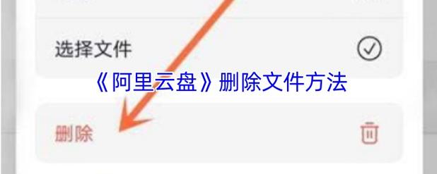 将lmage文件是什么类型，我可以删除它吗？